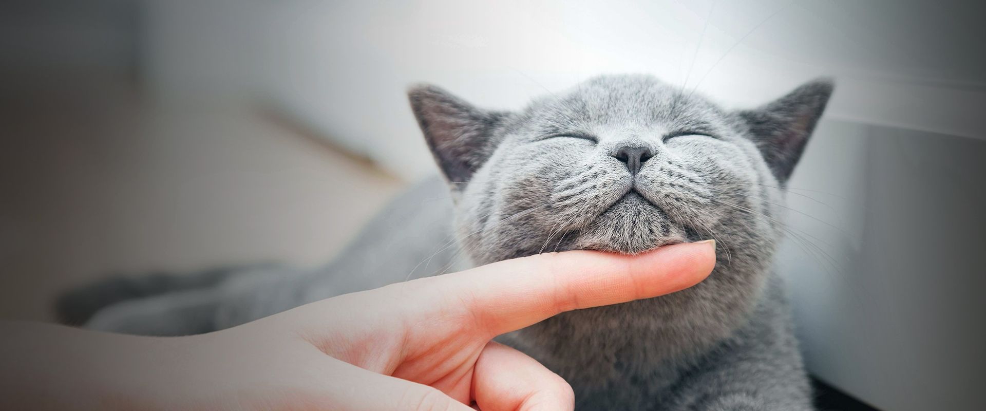 woman's hand touching gray car